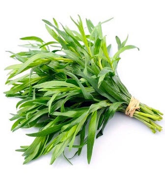 ტარხუნის თესლი - (Artemisia dracunculus) - 30 ც.